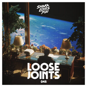 LOOSE JOINTS 045